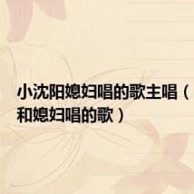 小沈阳媳妇唱的歌主唱(小沈阳和媳妇唱的歌)