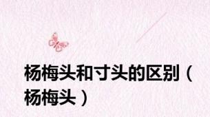 杨梅头和寸头的区别（杨梅头）