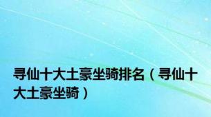寻仙十大土豪坐骑排名（寻仙十大土豪坐骑）
