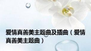 爱情真善美主题曲及插曲（爱情真善美主题曲）