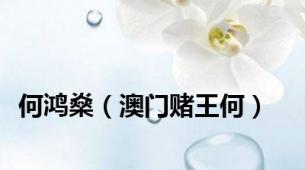 何鸿燊（澳门赌王何）