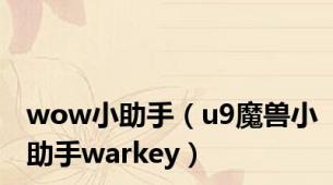 wow小助手（u9魔兽小助手warkey）