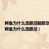 鳄鱼为什么流眼泪脑筋急转弯（鳄鱼为什么流眼泪）