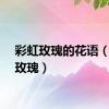 彩虹玫瑰的花语（彩虹玫瑰）