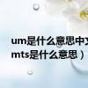 um是什么意思中文（umts是什么意思）