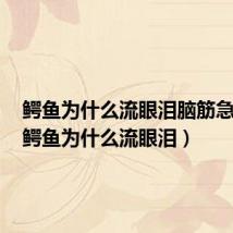 鳄鱼为什么流眼泪脑筋急转弯(鳄鱼为什么流眼泪)