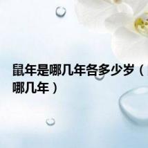 鼠年是哪几年各多少岁（鼠年是哪几年）