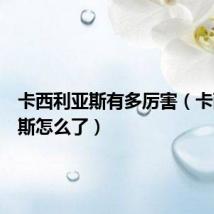 卡西利亚斯有多厉害(卡西利亚斯怎么了)