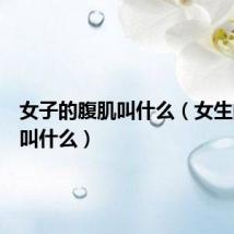 女子的腹肌叫什么(女生的腹肌叫什么)