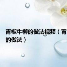 青椒牛柳的做法视频(青椒牛柳的做法)