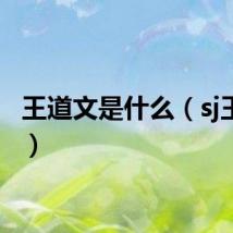 王道文是什么（sj王道文）