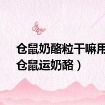 仓鼠奶酪粒干嘛用的（仓鼠运奶酪）