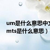 um是什么意思中文(umts是什么意思)