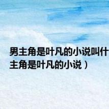 男主角是叶凡的小说叫什么(男主角是叶凡的小说)