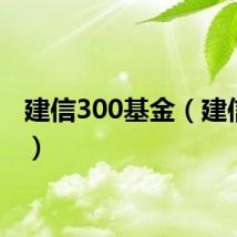 建信300基金(建信300)