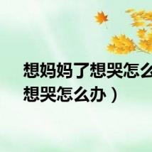 想妈妈了想哭怎么办（想哭怎么办）