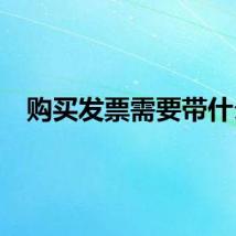 购买发票需要带什么