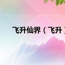 飞升仙界（飞升）