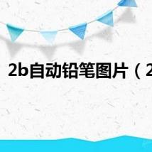 2b自动铅笔图片（2b）