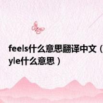 feels什么意思翻译中文(feelstyle什么意思)
