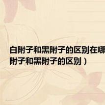 白附子和黑附子的区别在哪里(白附子和黑附子的区别)