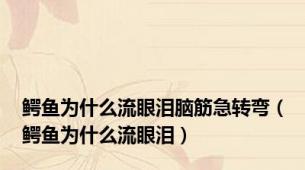 鳄鱼为什么流眼泪脑筋急转弯（鳄鱼为什么流眼泪）