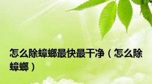 怎么除蟑螂最快最干净（怎么除蟑螂）