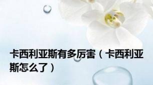 卡西利亚斯有多厉害（卡西利亚斯怎么了）