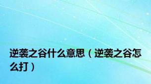逆袭之谷什么意思（逆袭之谷怎么打）