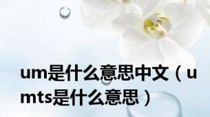 um是什么意思中文（umts是什么意思）
