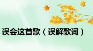 误会这首歌（误解歌词）