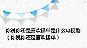 你说你还是喜欢孤单是什么电视剧（你说你还是喜欢孤单）