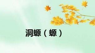洞螈（螈）