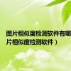 图片相似度检测软件有哪些（图片相似度检测软件）