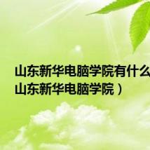 山东新华电脑学院有什么专业(山东新华电脑学院)