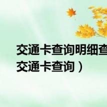交通卡查询明细查询(交通卡查询)