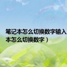 笔记本怎么切换数字输入(笔记本怎么切换数字)