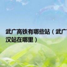 武广高铁有哪些站(武广高铁武汉站在哪里)