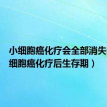 小细胞癌化疗会全部消失吗(小细胞癌化疗后生存期)
