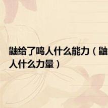 鼬给了鸣人什么能力(鼬给了鸣人什么力量)