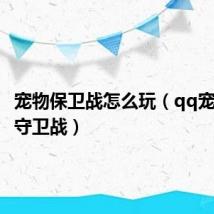 宠物保卫战怎么玩(qq宠物城堡守卫战)