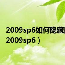 2009sp6如何隐藏图标(2009sp6)