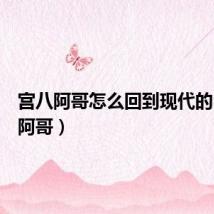 宫八阿哥怎么回到现代的(宫八阿哥)