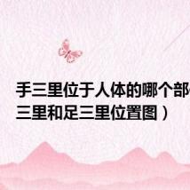 手三里位于人体的哪个部位(手三里和足三里位置图)