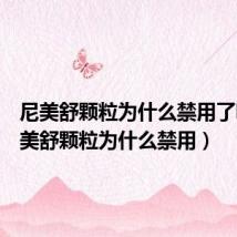 尼美舒颗粒为什么禁用了呢(尼美舒颗粒为什么禁用)