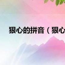 狠心的拼音（狠心）