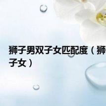 狮子男双子女匹配度(狮子男双子女)