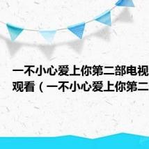 一不小心爱上你第二部电视剧全集观看(一不小心爱上你第二部)