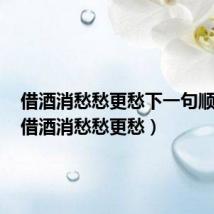 借酒消愁愁更愁下一句顺口溜(借酒消愁愁更愁)