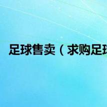 足球售卖（求购足球）